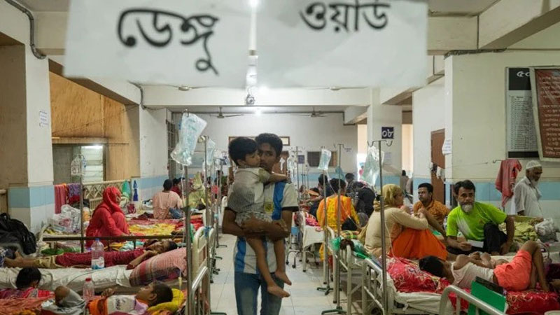 ডেঙ্গুতে ২৪ ঘণ্টায় ৩ জনের মৃত্যু