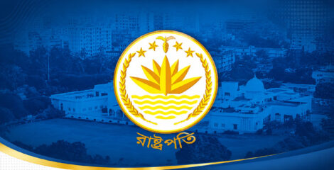 যেসব বিষয়ে প্রাধান্য দিয়ে রাষ্ট্রপতি বানাবে বিএনপি