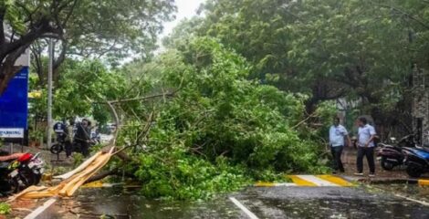 অন্ধ্রপ্রদেশে আঘাত হানল ঘূর্ণিঝড় ‘অর্ণব : ব্যাপক ক্ষয়ক্ষতির আশঙ্কা