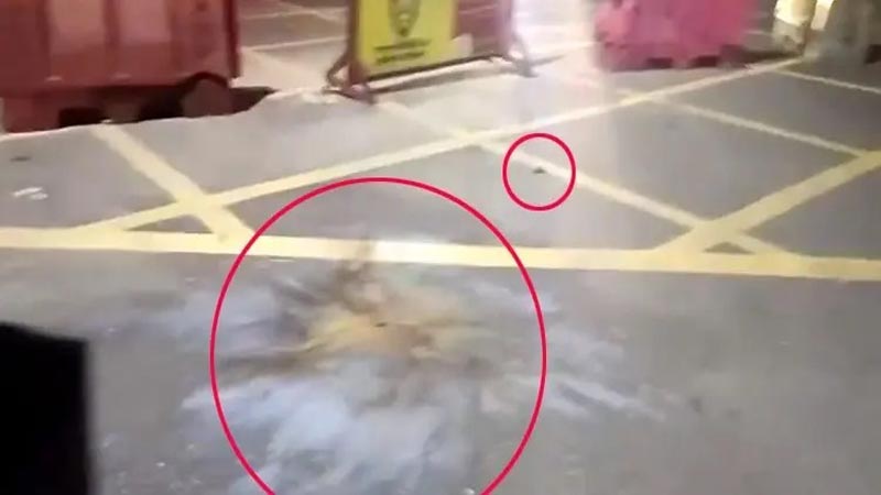 প্রধানমন্ত্রীর কার্যালয়ের সামনে ককটেল বিস্ফোরণ : দুই সন্দেহভাজনকে খুঁজছে আইনশৃঙ্খলা রক্ষাকারী বাহিনী