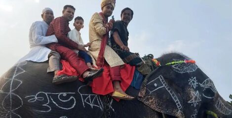 মায়ের শখ পূরণে হাতির পিঠে চেপে বিয়ে করতে গেলেন বর!