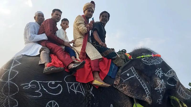 মায়ের শখ পূরণে হাতির পিঠে চেপে বিয়ে করতে গেলেন বর!